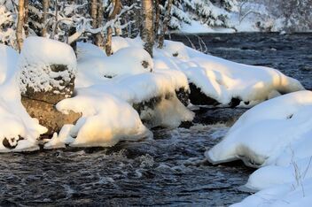 Frosty Afternoon - image gratuit #478531